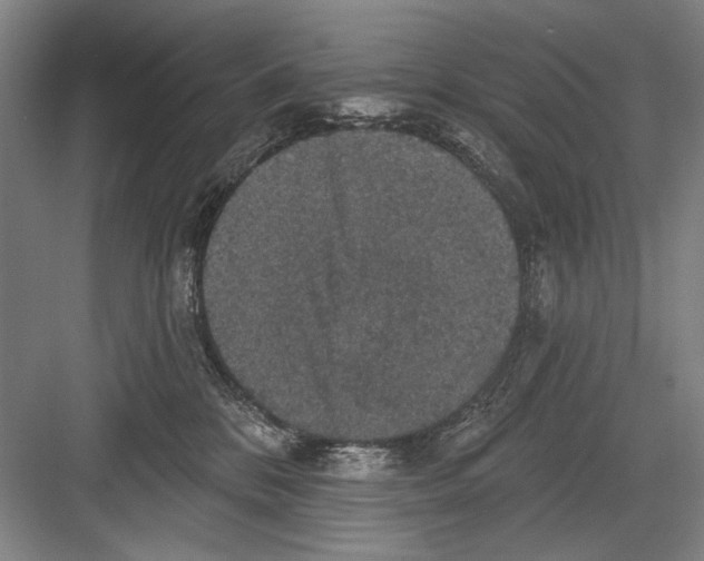 X0000082180328200702162333