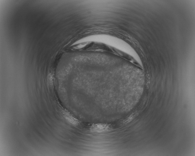 X0000082180329200702162333