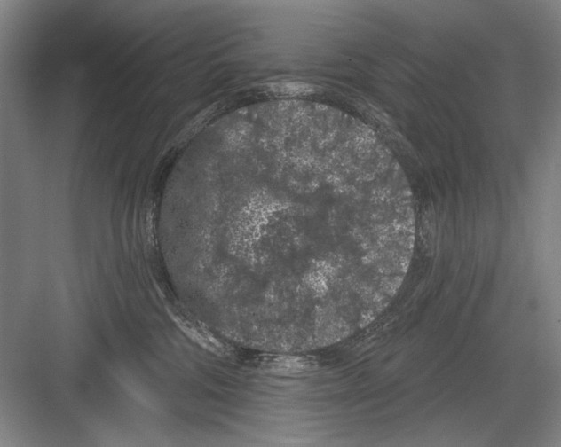 X0000082180330200702162333
