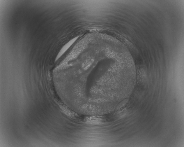 X0000082180331200702162333