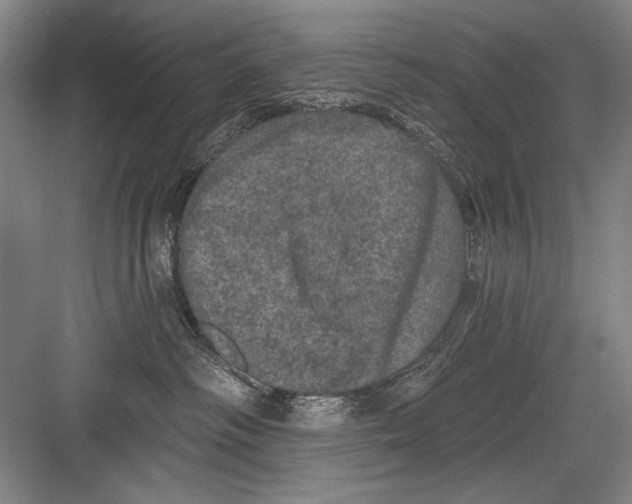 X0000082180334200702162333