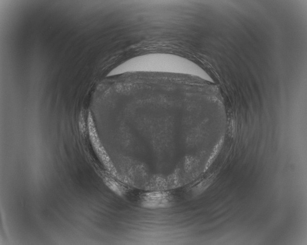 X0000082180335200702162333