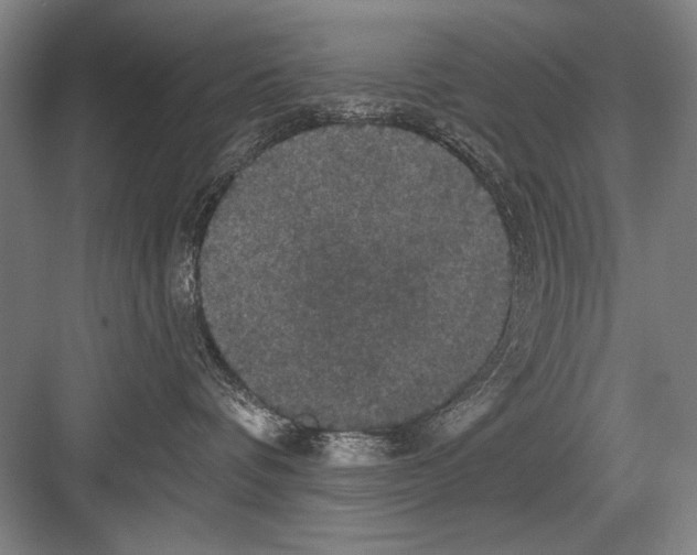 X0000082180336200702162333