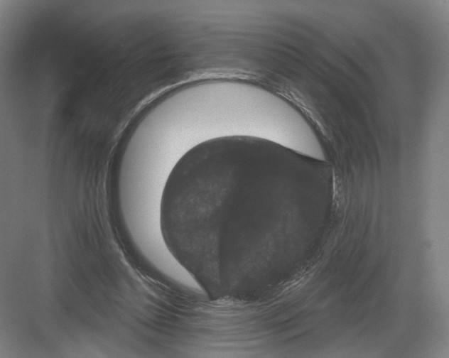 X0000082180348200702162332