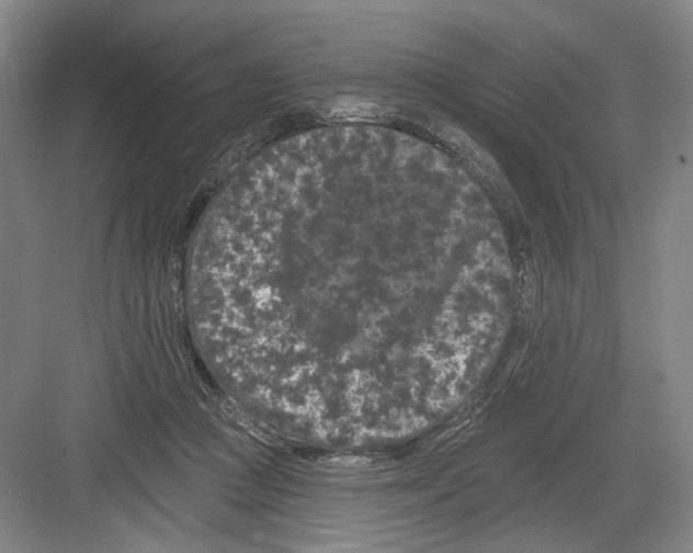 X0000082180361200702162332