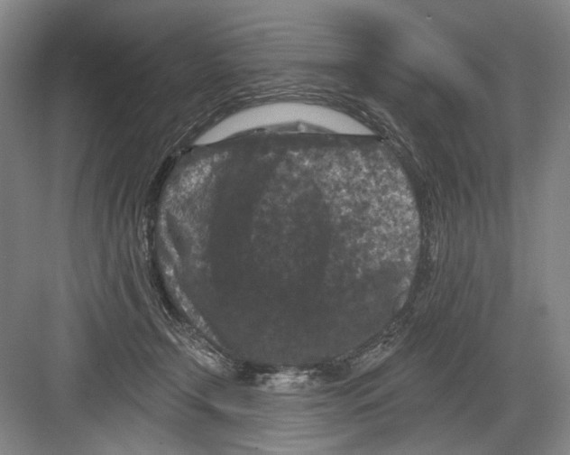 X0000082180366200702162333