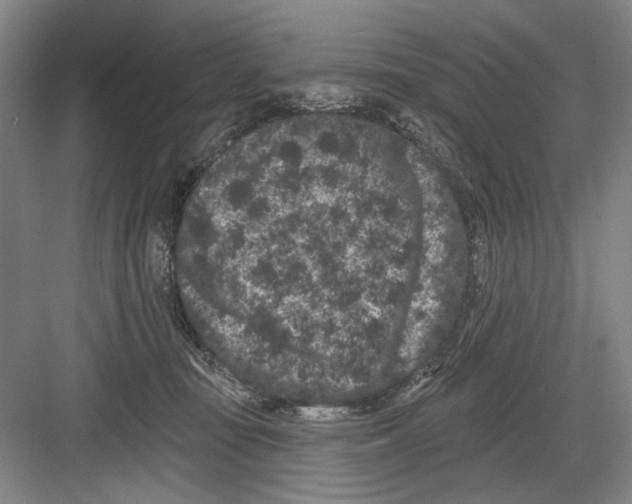 X0000082180371200702162333
