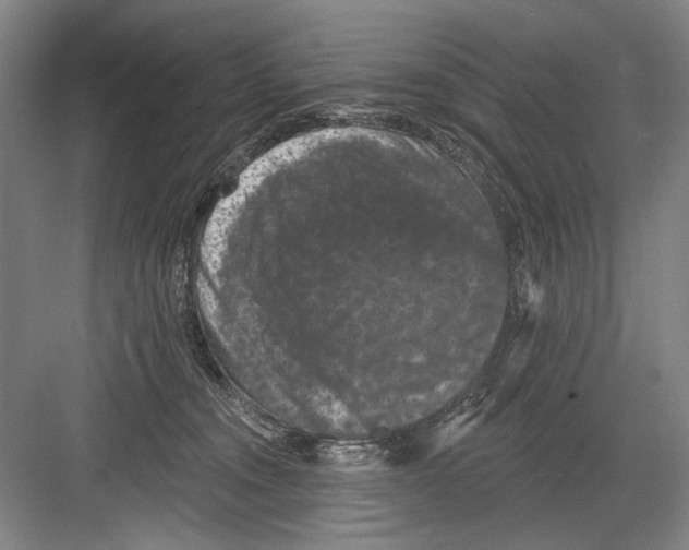 X0000082180372200702162333