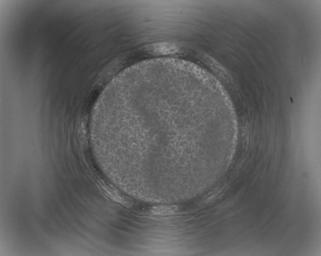 X0000082180373200702162333