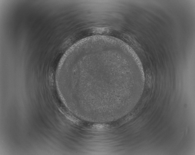 X0000082180375200702162333