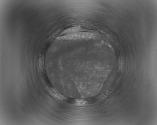 X0000082180376200702162333