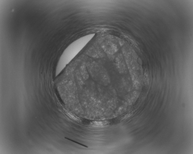 X0000082180381200702162333