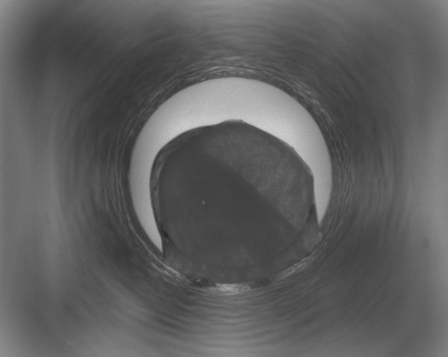 X0000082180382200702162333