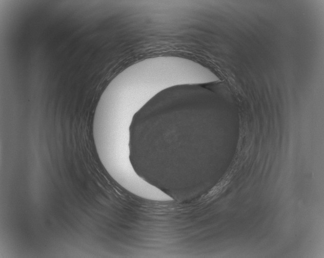 X0000082180384200702162333