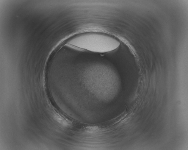 X0000082180391200702162332