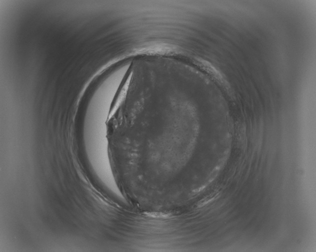 X0000082180392200702162332