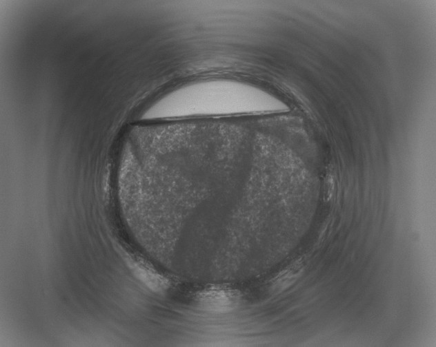 X0000082180404200702162332