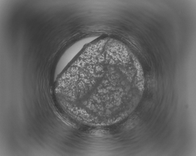 X0000082180408200702162332