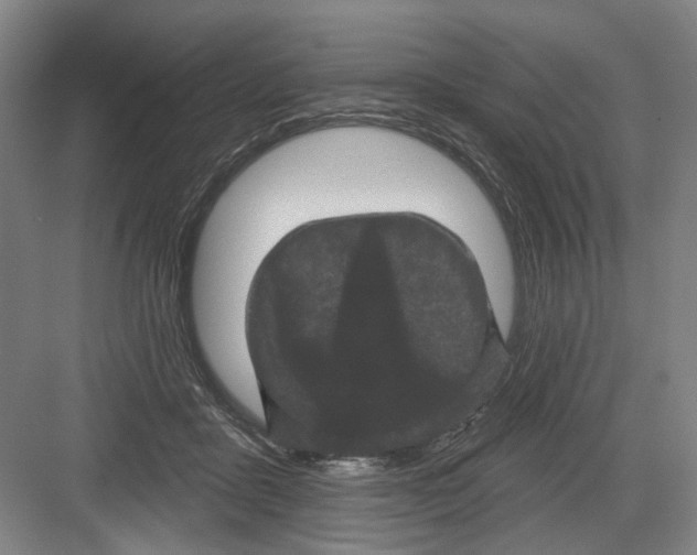 X0000082180411200702162332