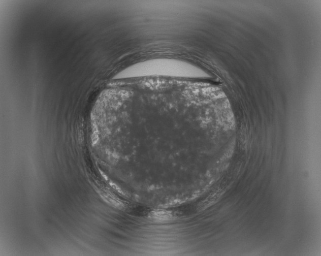 X0000082180413200702162332
