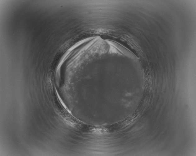 X0000082180415200702162332