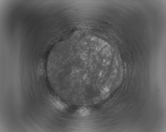 X0000082180416200702162332