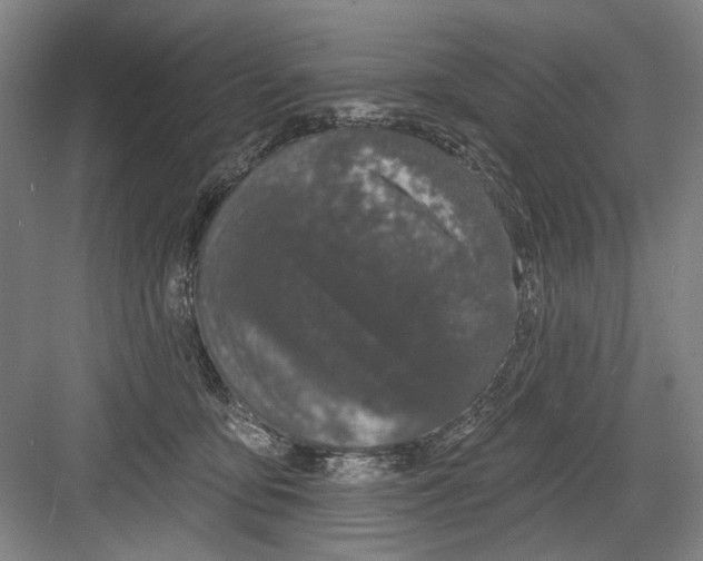 X0000082180419200702162332