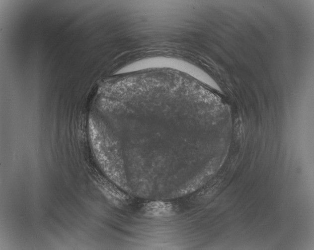 X0000082180421200702162331
