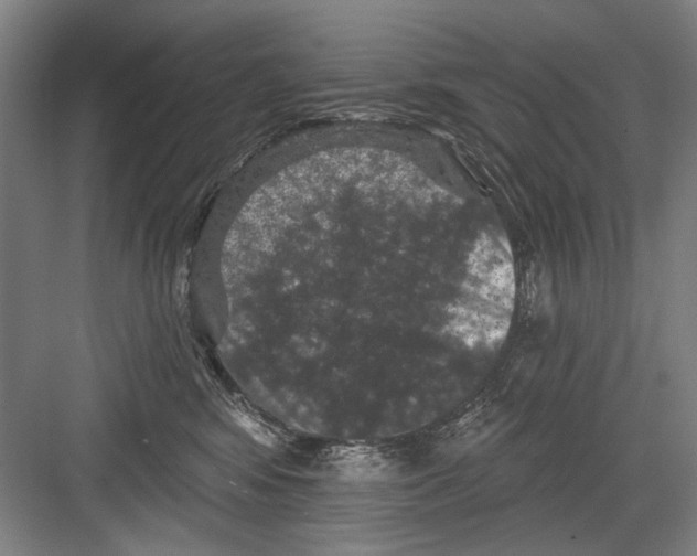 X0000082180424200702162331