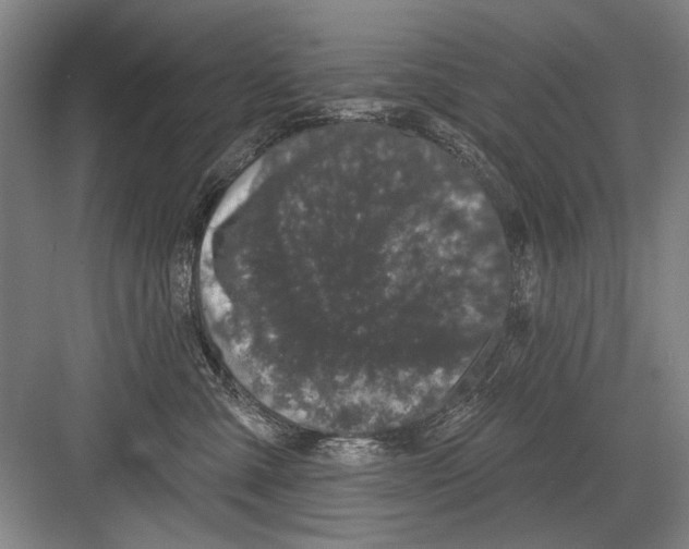 X0000082180427200702162331