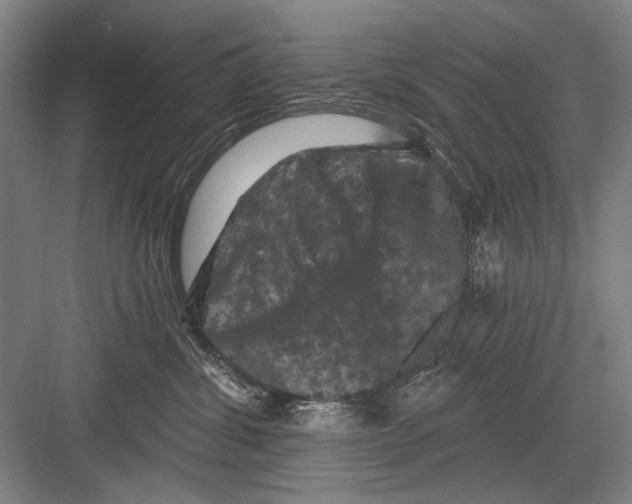 X0000082180428200702162331