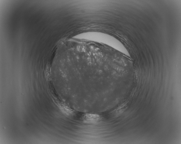 X0000082180429200702162331