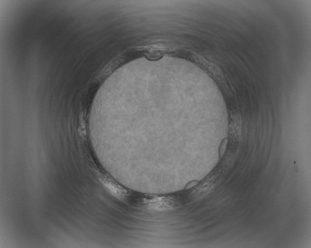 X0000082180430200702162331