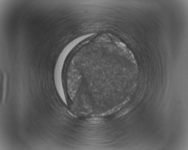X0000082180432200702162331