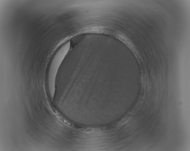 X0000082180434200702162330