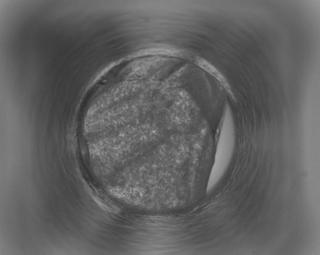 X0000082180436200702162331