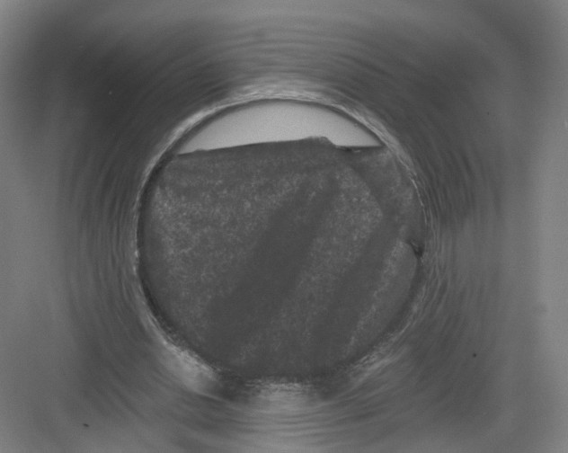 X0000082180438200702162331