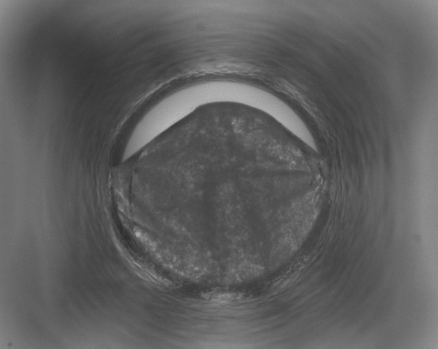X0000082180448200702162331