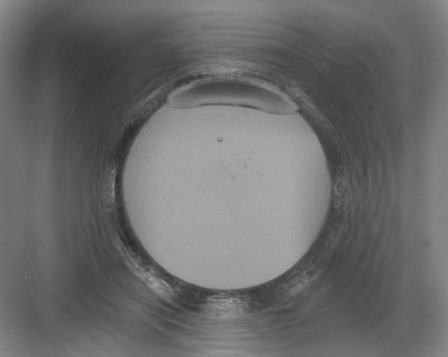 X0000082180454200702162331