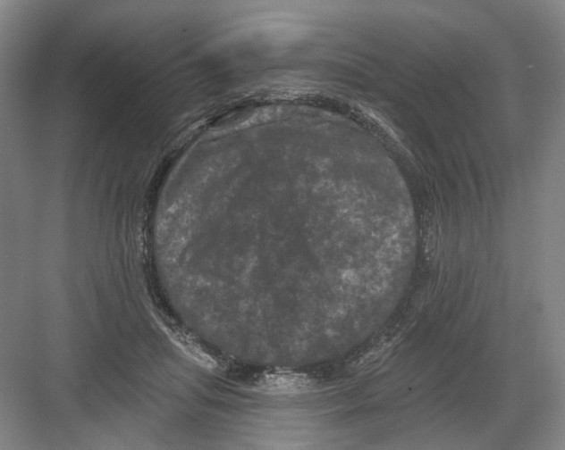 X0000082180455200702162331