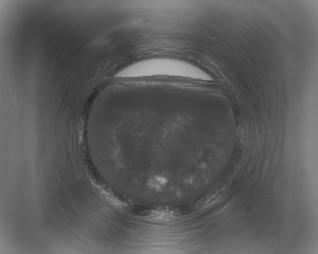X0000082180458200702162331