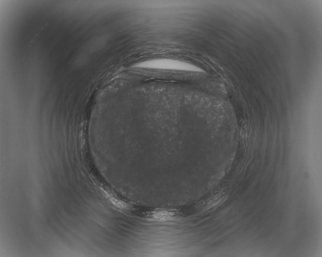 X0000082180462200702162331