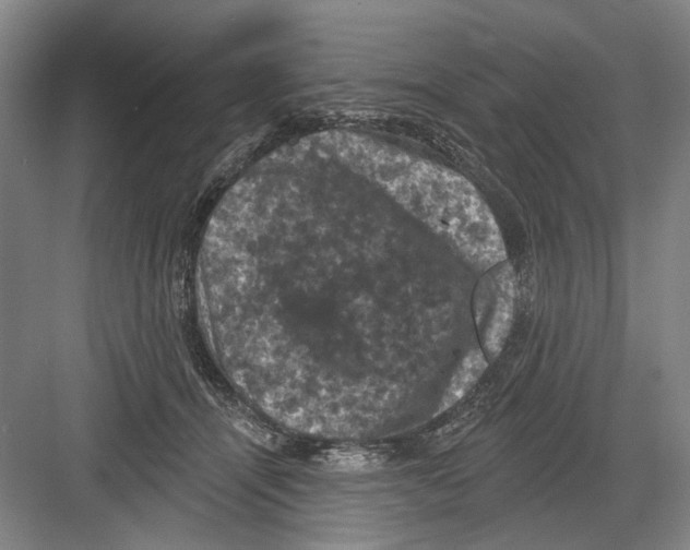 X0000082180464200702162331