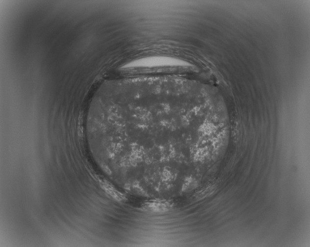 X0000082180466200702162331