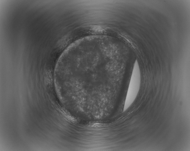 X0000082180467200702162331