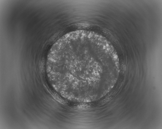 X0000082180468200702162331
