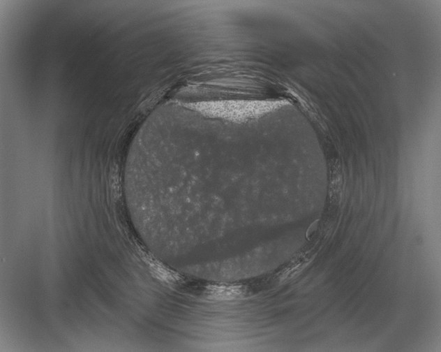 X0000082180469200702162331