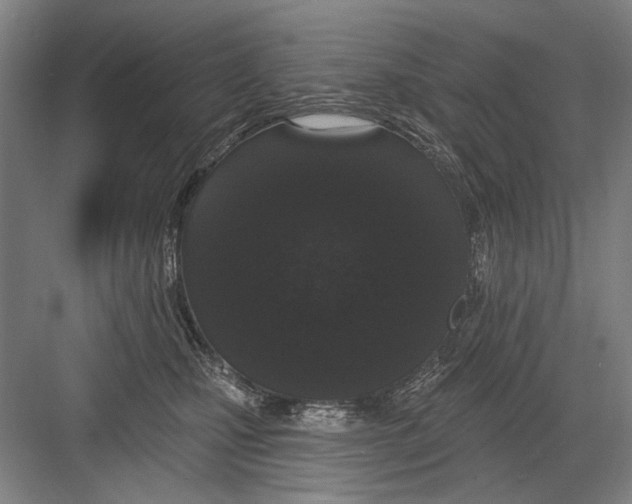 X0000082180471200702162331