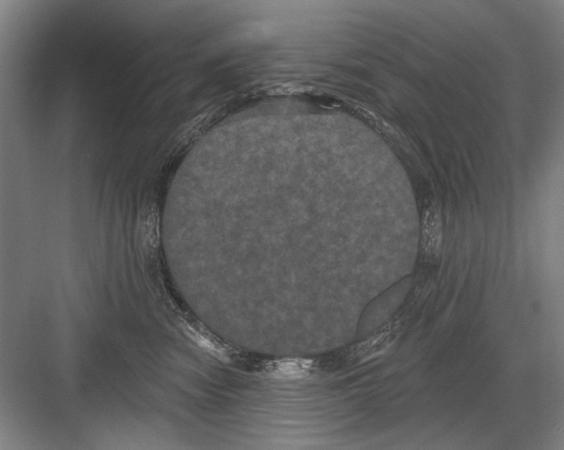 X0000082180474200702162331
