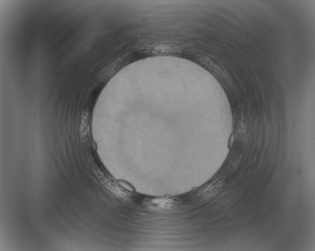 X0000082180478200702162331